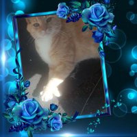 mary ellen faustini (@faustinimary) 's Twitter Profile