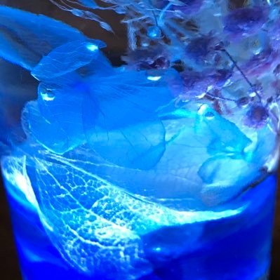 ka1g23cosmos's profile picture. 真風涼帆さん/まかかの 🏇