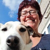 Leanne (@leannelewis1971) 's Twitter Profile Photo Leanne (@leannelewis1971) 's Twitter Profile Photo