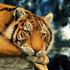 z2LnetStYbk61f8's profile picture.