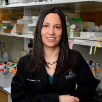 Alison Bernstein (@bernsteinlab) 's Twitter Profile