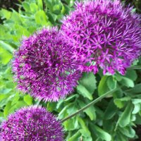 Rebecca Warren (@rebecca19617) 's Twitter Profile