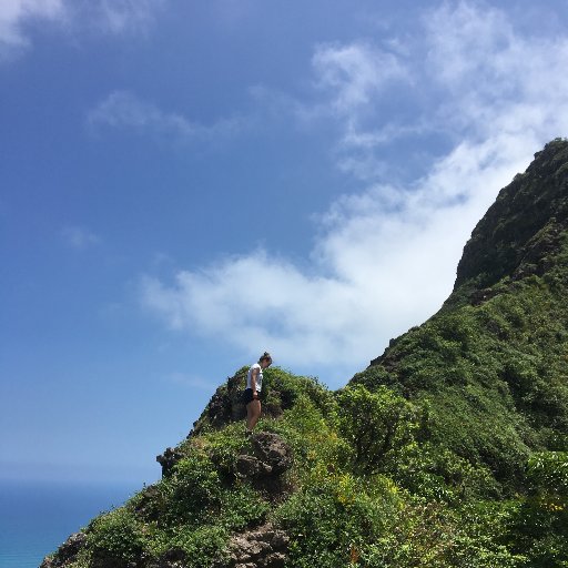 PavonaDetective's profile picture. Postdoc in the ToBo Lab at HIMB| Reef restoration and Coral evolution are my jam | Pavonas are my fave | British Person | Wallpaper enthusiast | She/her