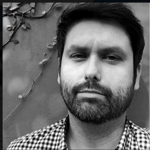 Robopoly's profile picture. Tall. Sometimes funny