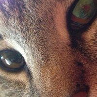 Straight Rainbow Lover (@666sparkly666) 's Twitter Profile