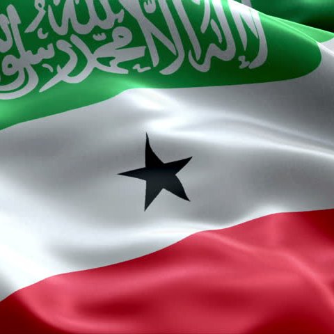 SomalilandChro1 Profile Picture