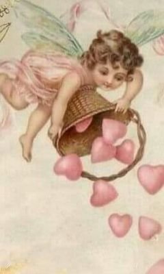 YomaC06's profile picture. 