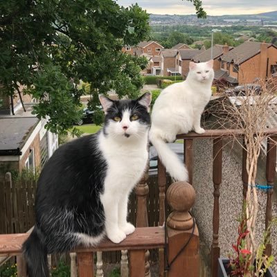 Saswaa's profile picture. Melodic/Progressive House DJ