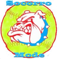 Bulldog Softball #BE IN THE MOMENT(@LadyBulldogSB) 's Twitter Profile Photo