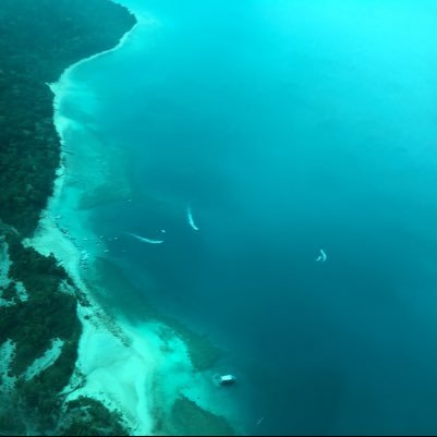 birdofp71655709's profile picture. Civil Servant.Views are personal.FOLLOWING & RT NOT ENDORSEMENT.