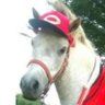 dmas3601's profile picture. ダビマスやってます。ダビスタ歴20年超です。64版とGBA版ではBC開催してました。昔の仲間と再会したいなぁー。2018年11月断腸復帰！！(^o^)　2018年12月1日マルグッバイ（UMA）誕生。同30日ドーベル（UMA）誕生。#カカチニ