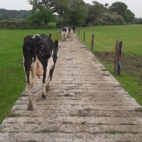 Webscott farm πππππππππ (@webscottfarm) 's Twitter Profile