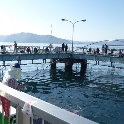 海釣り公園みかた Jug5vnqv0v1hjdu Twitter 海釣り公園みかた Jug5vnqv0v1hjdu Twitter