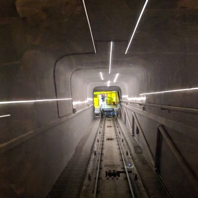 useliteguy's profile picture. Entrepreneur, Dreamer, Fitness Educator, Foodie,and Cook. Just trying to make the world a better place..