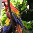 Zak Marshall - @superfluf1 - Twitter