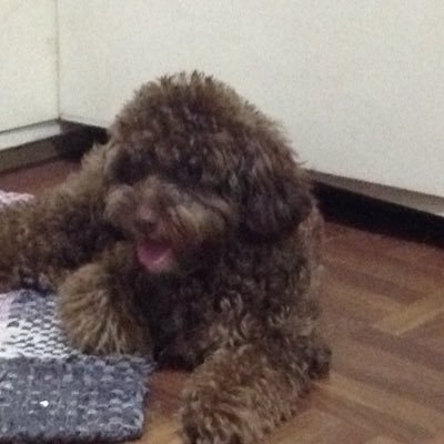 sebastiandora14's profile picture. We are equals