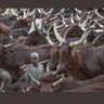 MbuleloInd78's profile picture. 