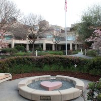 Stanford Neonatology (@stanfordneo) 's Twitter Profile