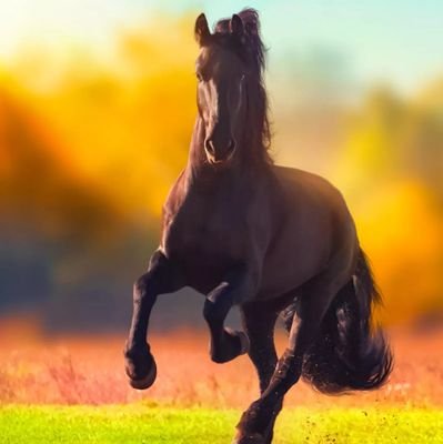 adi08346331's profile picture. FUTURE IPS 👮