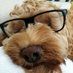 Graham Missenden (@rolytravelwell) Twitter profile photo Graham Missenden (@rolytravelwell) Twitter profile photo