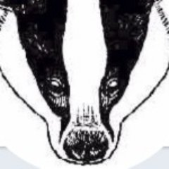 TheBadgerCrowd Profile