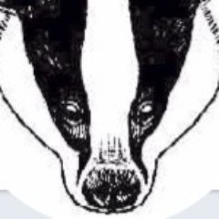 BadgerCrowd Profile Picture