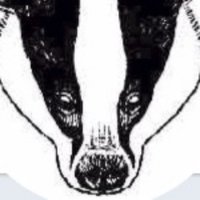 TheBadgerCrowd(@BadgerCrowd) 's Twitter Profile Photo