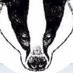 TheBadgerCrowd (@BadgerCrowd) Twitter profile photo