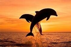 c5d8808c6e804eb's profile picture. Living life