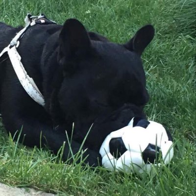 Download Lebrato Desktop Wallpaper Lebrato