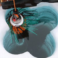 CAO_PEANUTS (@cao_peanuts) 's Twitter Profile Photo