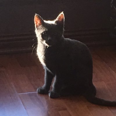 ClarkyV's profile picture. Wife Mum Nana Daughter Dreamer