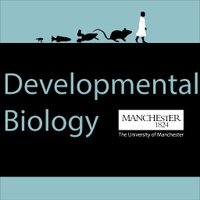 DevBioManchester (@devbiouom) 's Twitter Profile Photo