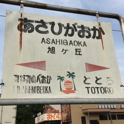 tonarinoasahiga Profile Picture