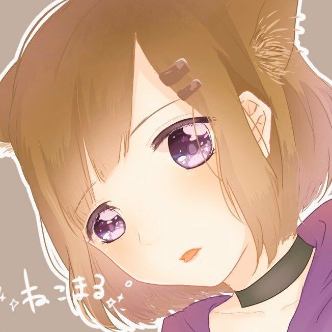 ねこまるさんのプロフィール画像