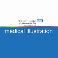 UHMBT Medical Photography(@UHMBphotography) 's Twitter Profile Photo