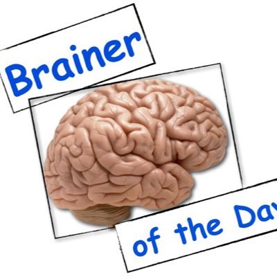 BraineroftheDay's profile picture. Your personal source for daily scientific mindbombs 🤯