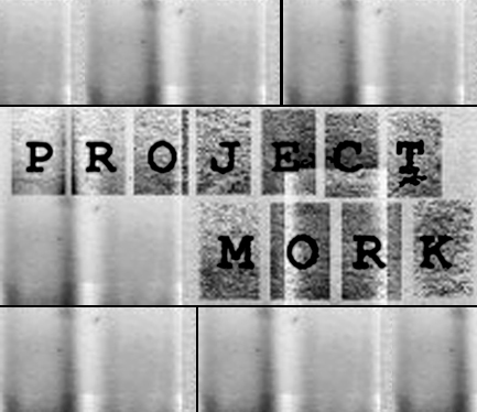 projectmork's profile picture. 