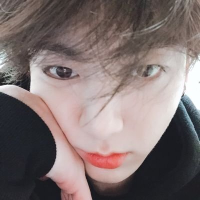minikookie9597's profile picture. 