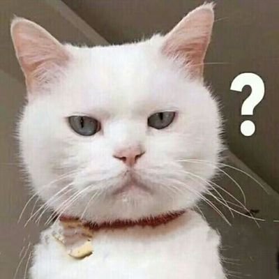 LIN456123's profile picture. 早起+密集做事