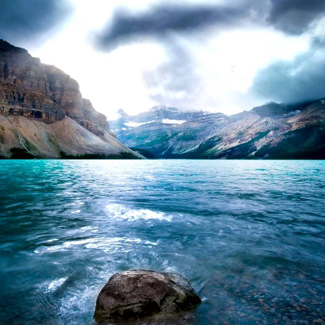 husktech's profile picture. 