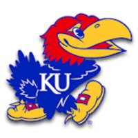 Leesa Palmer (@jayhawkgrad1) 's Twitter Profile Photo