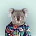 Koala meme (@Koalameme1) Twitter profile photo