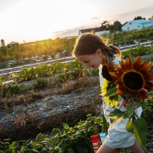 Hope Lab @ OSU: garden-based research exploring dietary patterns, evidence-based edu & biobehavioral interventions for disease prevention in high risk groups