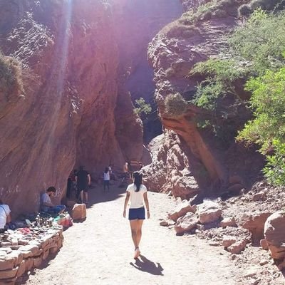 KarOrtiz98's profile picture. .