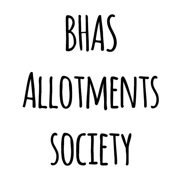 The BHAS Allotment Society looks after the 5 allotment sites within East Sheen, London. Find out more about our friendly Society, getting a plot & growing tips.