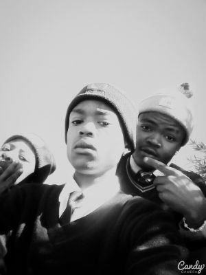 lacomotive's profile picture. 