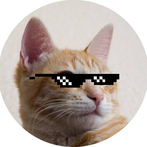 Crazy cat gentleman. Yo antes molaba.
