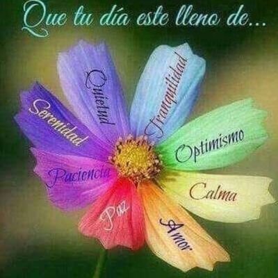 marialidiafer's profile picture. 