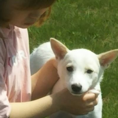 しんのすけ 安倍昭恵夫人付きの谷査恵子のイタリア 大使館えの赴任そんなの許すな ふざけた話しをまだ安倍自民党政権はしているのだ 逃がすな谷査恵子 安倍昭恵夫人を 野党は何をしてるんだこれが有りならなんでも有りだな権力側の好き放題じゃないか 法律